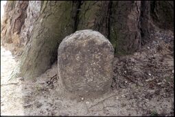 Bild: Stein in Demitz-Thumitz