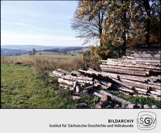 Holzstämme in Landwüst