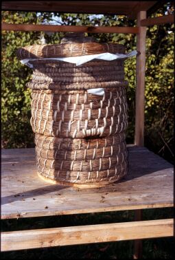 Bild: Bienenkorb in Landwüst