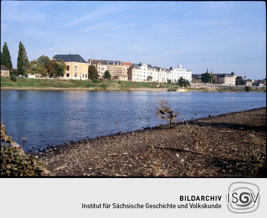 Blick über die Elbe auf Pieschen