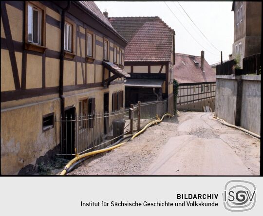 Blick durch den Wachwitzgrund in Dresden-Wachwitz