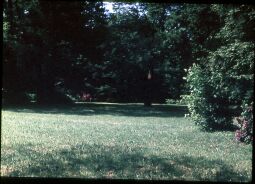 Bild: Grünanlage in Rothenburg in der Oberlausitz