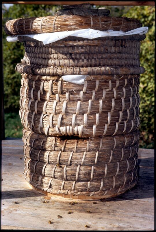 Bienenkorb in Landwüst