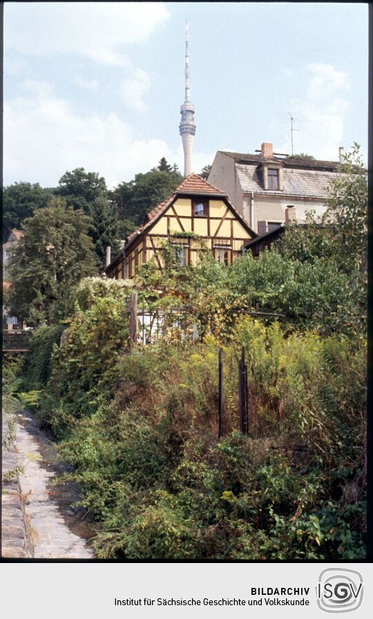 Blick von Dresden-Wachwitz zum Fernsehturm