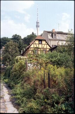 Bild: Blick von Dresden-Wachwitz zum Fernsehturm