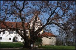 Bild: Schloss Strehla