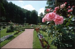 Bild: Schlosspark Weesenstein