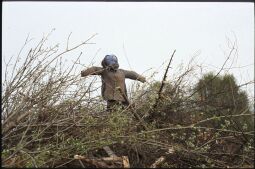 Bild: Puppe des Hexenfeuers für die Walpurgisnacht in Schniedel
