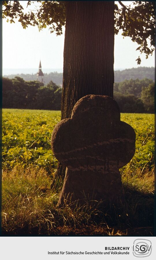 Steinkreuz an der Salzstraße
