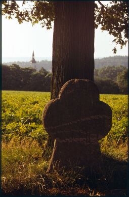 Bild: Steinkreuz an der Salzstraße