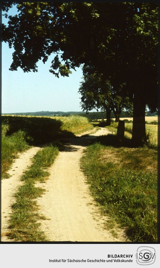 Salzstraße bei Seifersdorf 1984