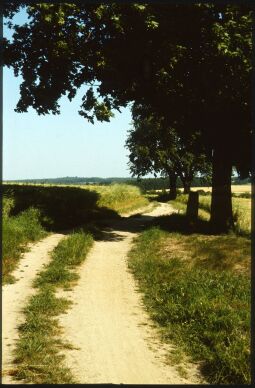 Bild: Salzstraße bei Seifersdorf 1984