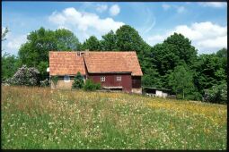 Bild: Gebäude in Uttewalde