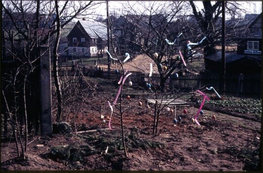 Österlich geschmückter Busch in einem Papstdorfer Garten