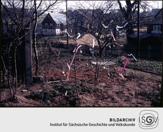 Österlich geschmückter Busch in einem Papstdorfer Garten