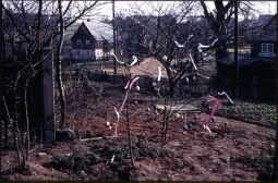 Bild: Österlich geschmückter Busch in einem Papstdorfer Garten