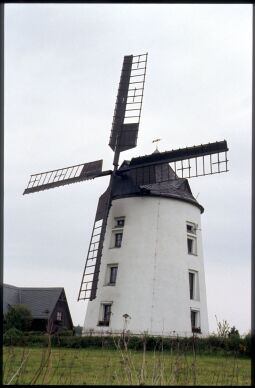 Bild: Blick zur Windmühle in Reitzendorf