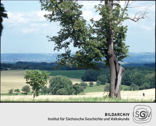 Blick von Maxen auf das Elbtal