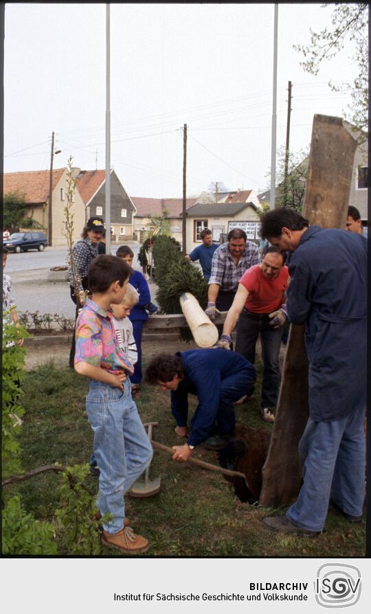 Aufstellen eines Maibaums in Zschornau-Schniedel