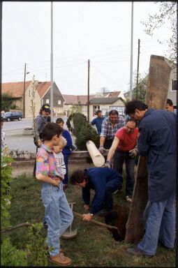 Bild: Aufstellen eines Maibaums in Zschornau-Schniedel