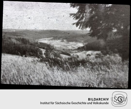 Blick ins Tal der Zwickauer Mulde bei Eibenstock