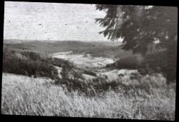 Bild: Blick ins Tal der Zwickauer Mulde bei Eibenstock
