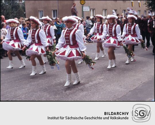 Festumzug zum Tag der Sachsen in Rochlitz