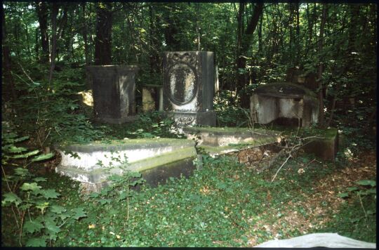 Überwucherte Gräber auf dem Elias-Friedhof in Dresden