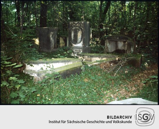 Überwucherte Gräber auf dem Elias-Friedhof in Dresden
