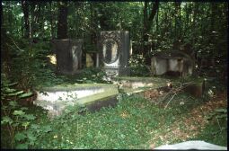 Bild: Überwucherte Gräber auf dem Elias-Friedhof in Dresden