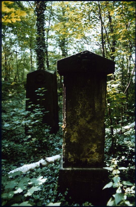 Überwucherte Gräber auf dem Elias-Friedhof in Dresden