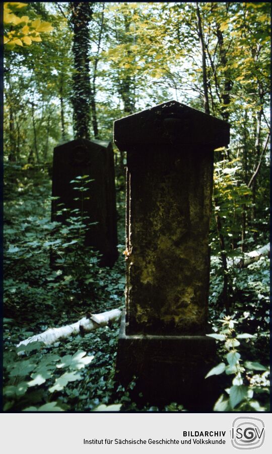 Überwucherte Gräber auf dem Elias-Friedhof in Dresden