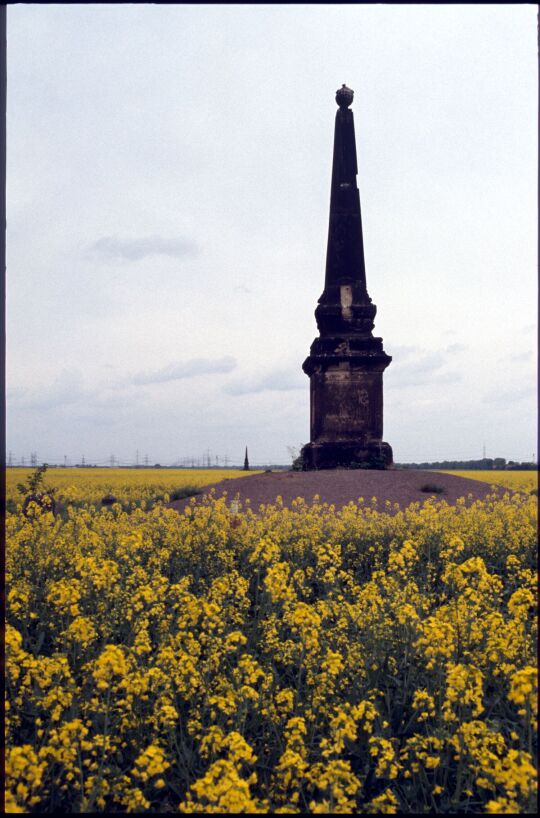 Obelisk in einem Rapsfeld bei Zeithain
