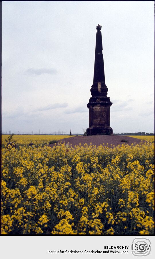 Obelisk in einem Rapsfeld bei Zeithain