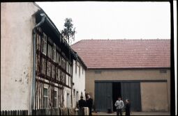 Bild: Hof mit einem geschmückten Baum in Ebersbach