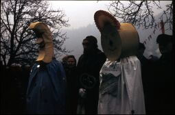 Bild: Kostümierte Teilnehmer der Postelwitzer Schifferfastnacht