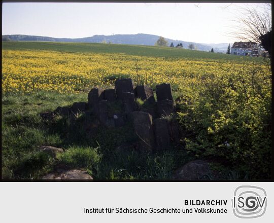 Basaltsäulen an einem Rapsfeld bei Eibau