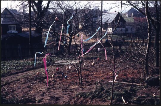 Österlich geschmückter Baum in Papstdorf