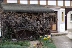 Bild: Umgebindehaus in Jonsdorf