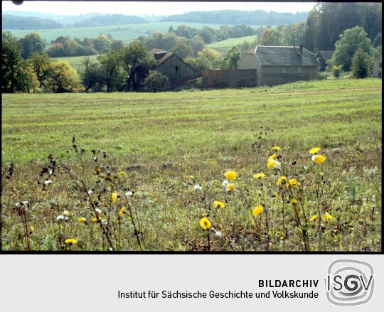 Blick auf Blosenberg im Vogtland