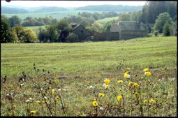 Bild: Blick auf Blosenberg im Vogtland