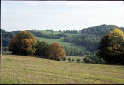 Bild: Landschaft an der ehemaligen Grenze bei Wiedersberg, Vogtland