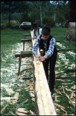 Bild: Zimmerleute bei der Arbeit an einem Baumstamm in Landwüst