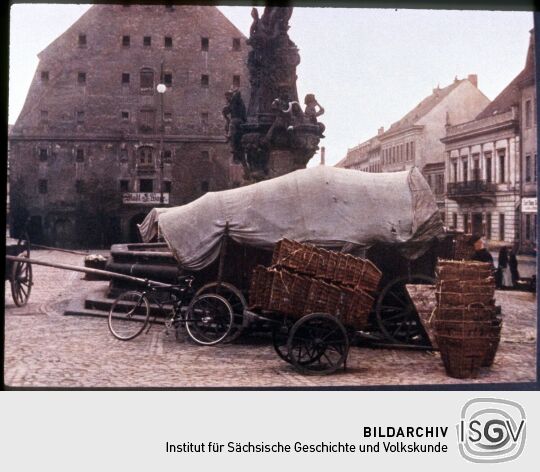 Zittauer Neustadt mit dem Herkulesbrunnen und Salzhaus