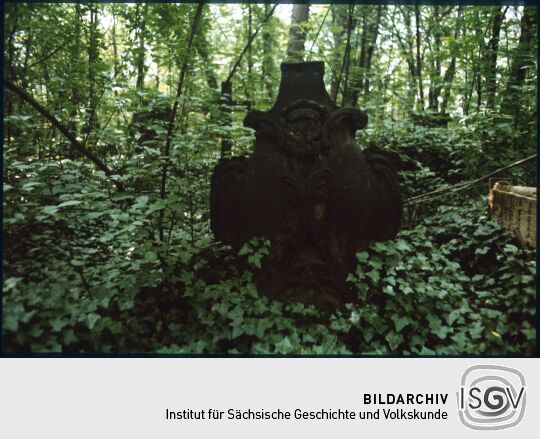 Überwuchertes Grabmal auf dem Eliasfriedhof in Dresden