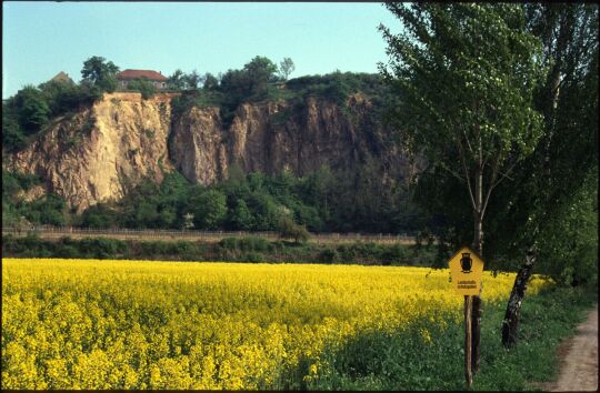 Sandsteinfelsen am Elbufer in Zadel