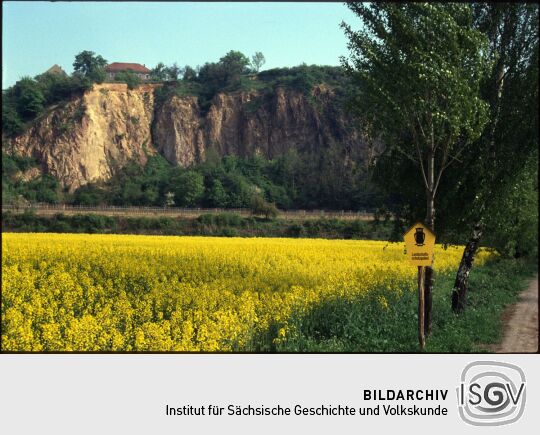 Sandsteinfelsen am Elbufer in Zadel