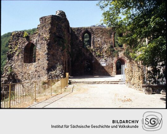 Ruine der Burg Tharandt