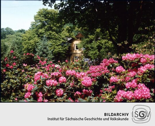 Rhododendronpark in Dresden Wachwitz