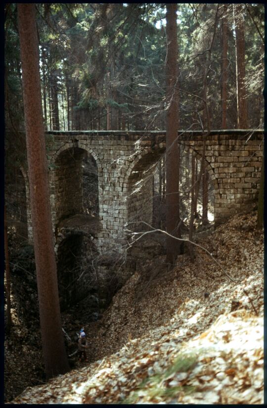 Hohe Brücken über den Bonnewitzbach